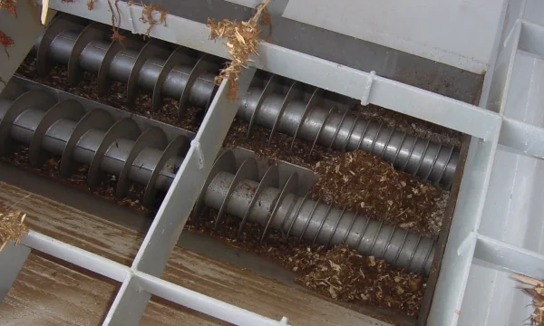 coclea_CO-FE_posizione_1.2